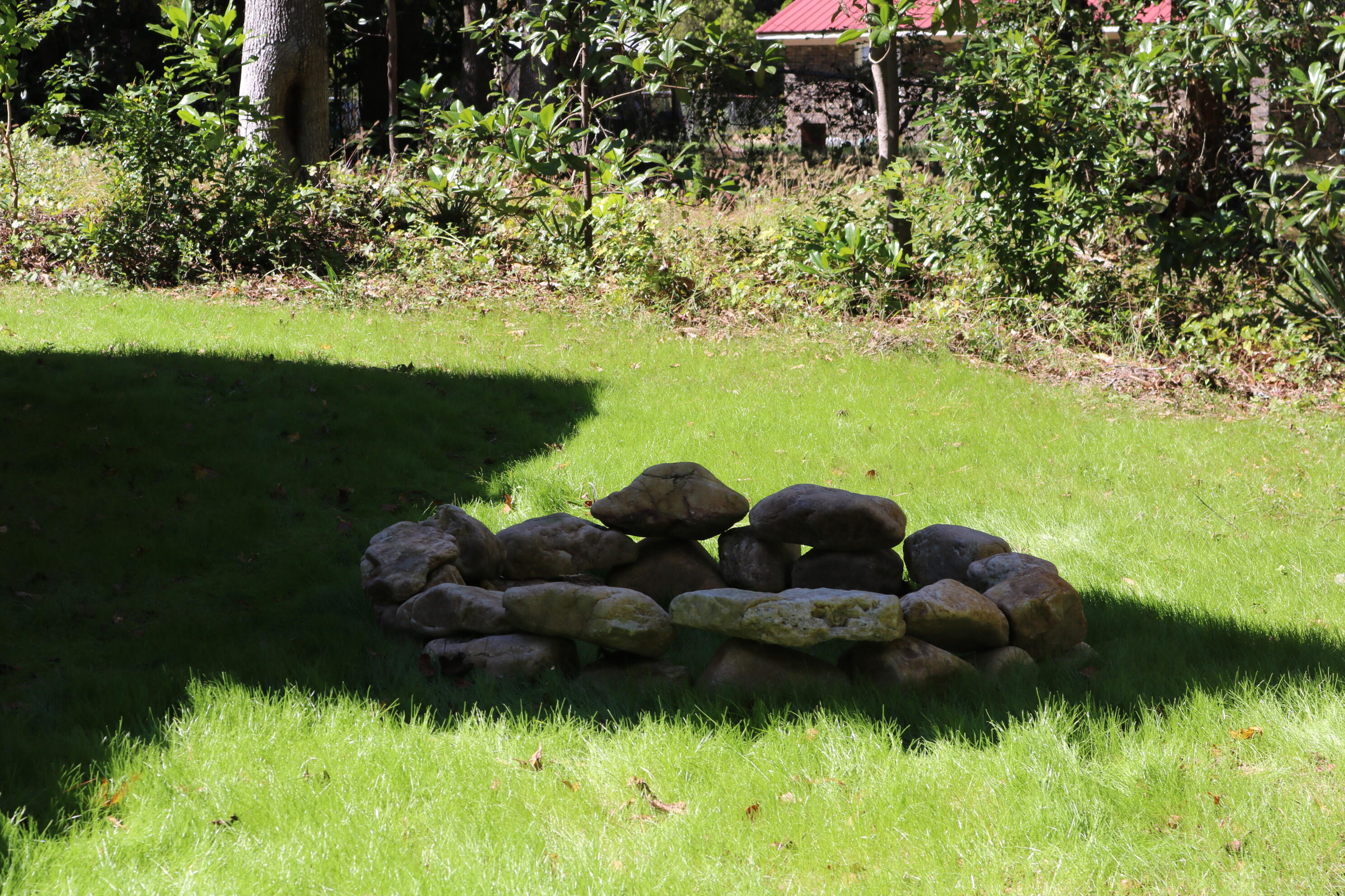 241 Rose Avenue Walterboro, SC 29488 - Photo 12 of 39 IMG_9170