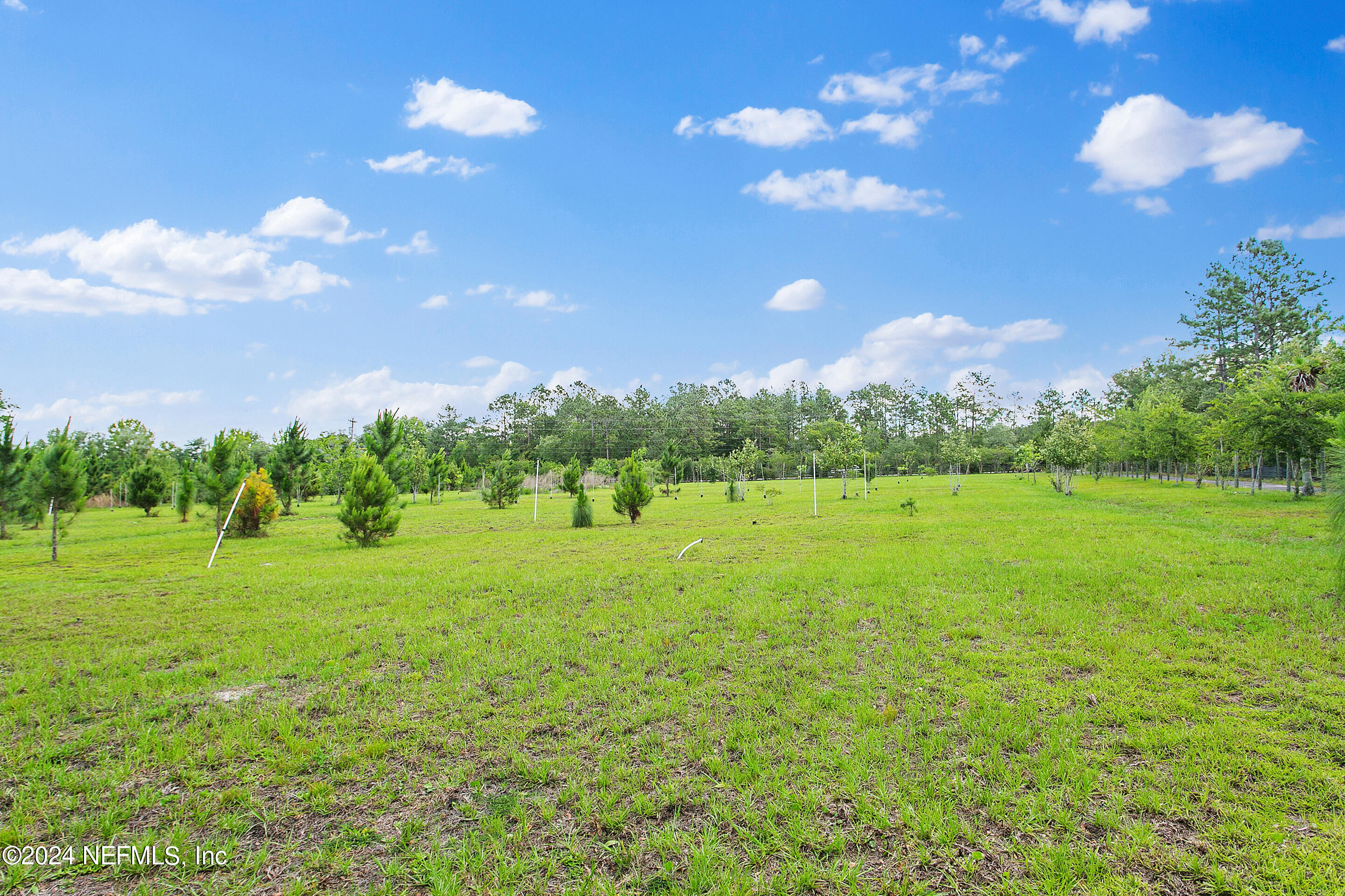 5465 County Road 218 Middleburg, FL 32068 - Photo 16 of 23 Front View of Property