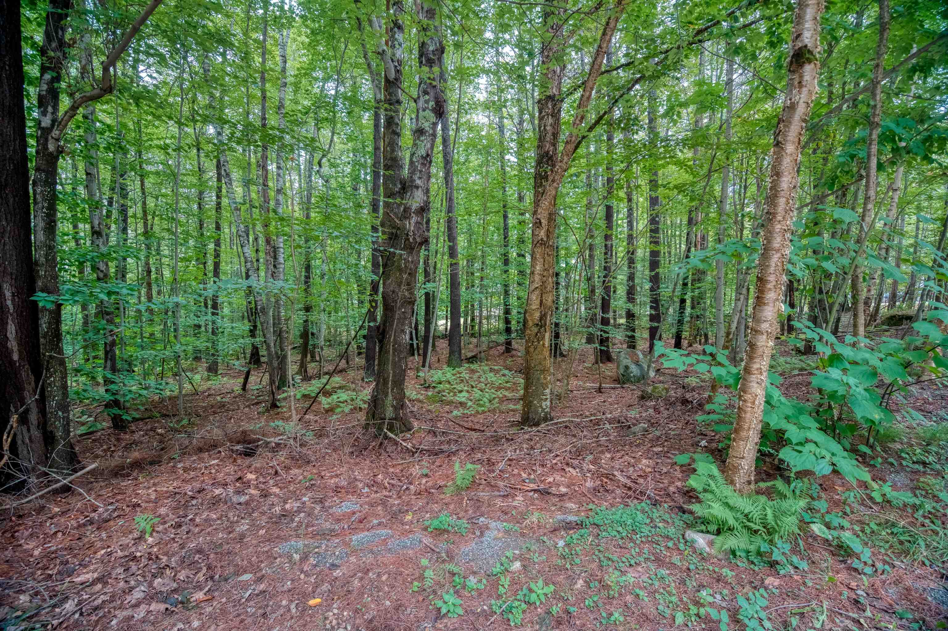 4 Sagamore Ridge, Unit 3 Tuftonboro, NH 03853 - Photo 3 of 4 Gallery Image 3