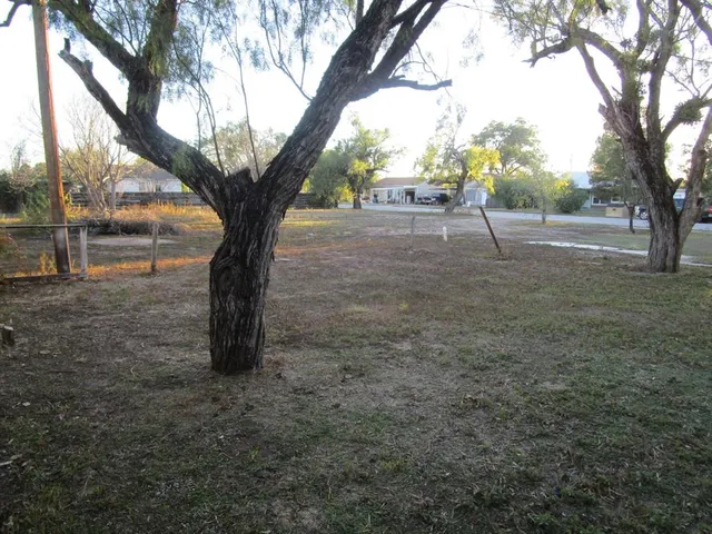 a view of outdoor space with trees