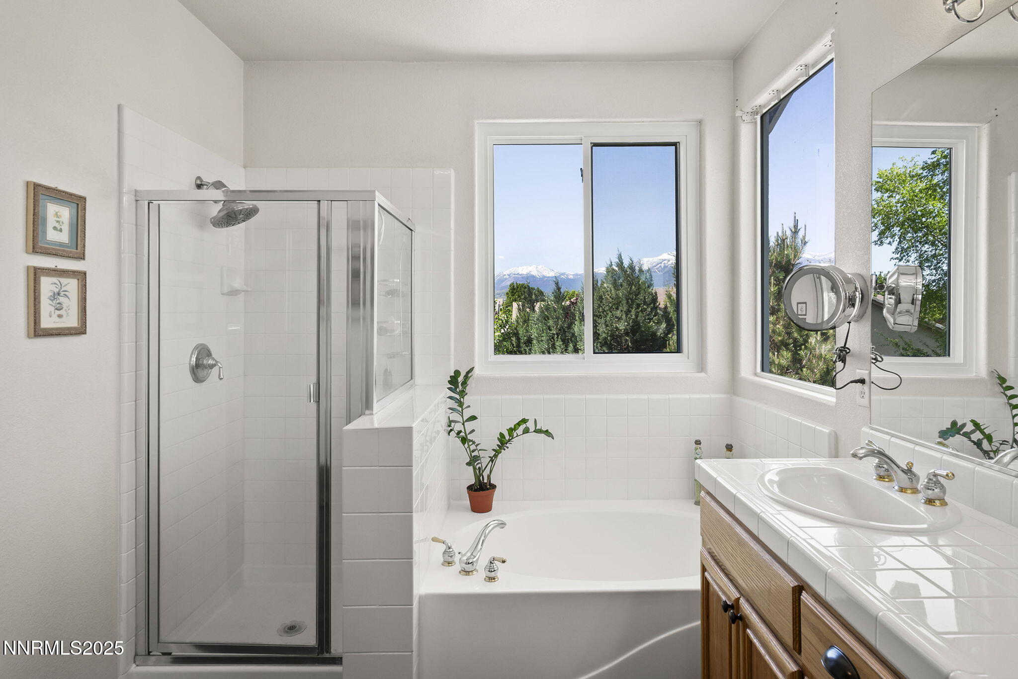 9629 Thunder Mountain Way Reno, NV 89521 - Photo 19 of 36 23-web-or-mls-_DSC0080