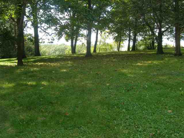 3213 West Forest Road Freeport, IL 61032 - Photo 8 of 9 a big yard with lots of green space and trees