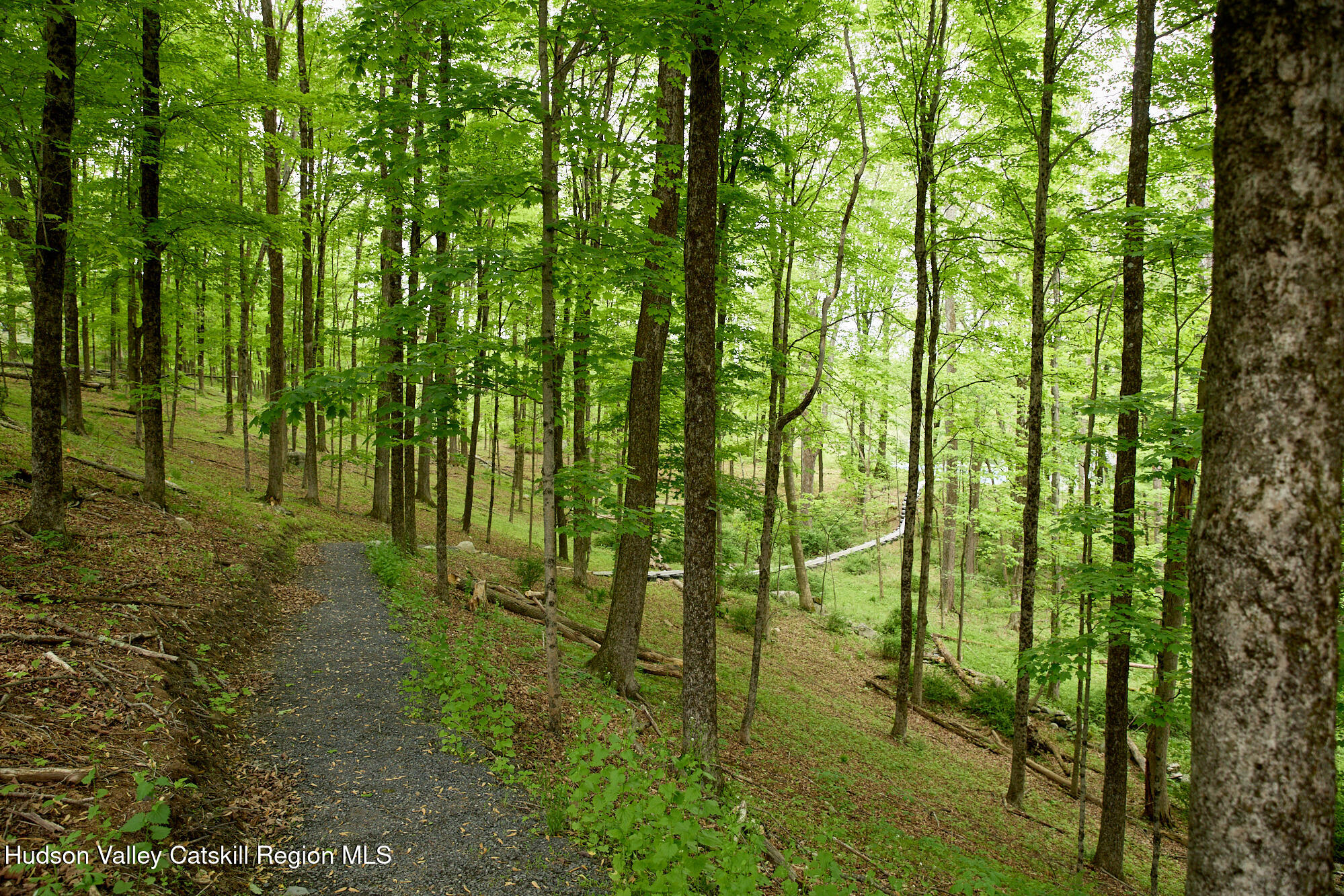 1156 Old Ford Road Gardiner, NY 12561 - Photo 39 of 46 Path to Tennis Court