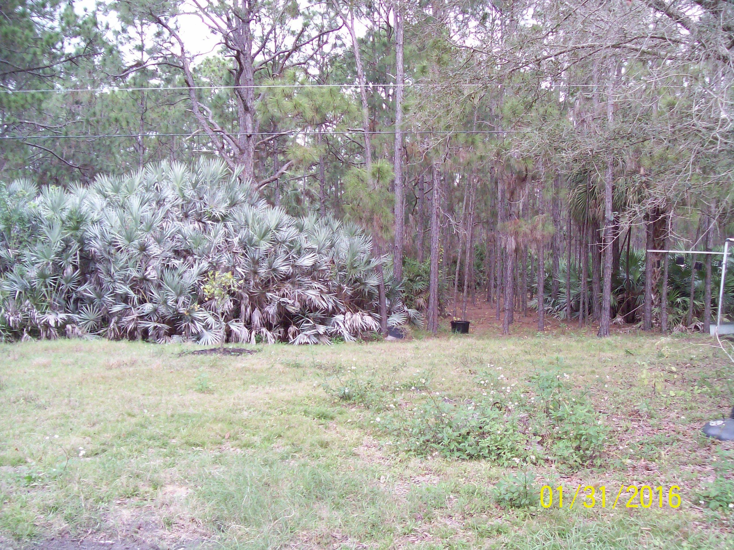 1241 Sapulpa Road Southwest Palm Bay, FL 32908 - Photo 6 of 7 Park Reserve Area