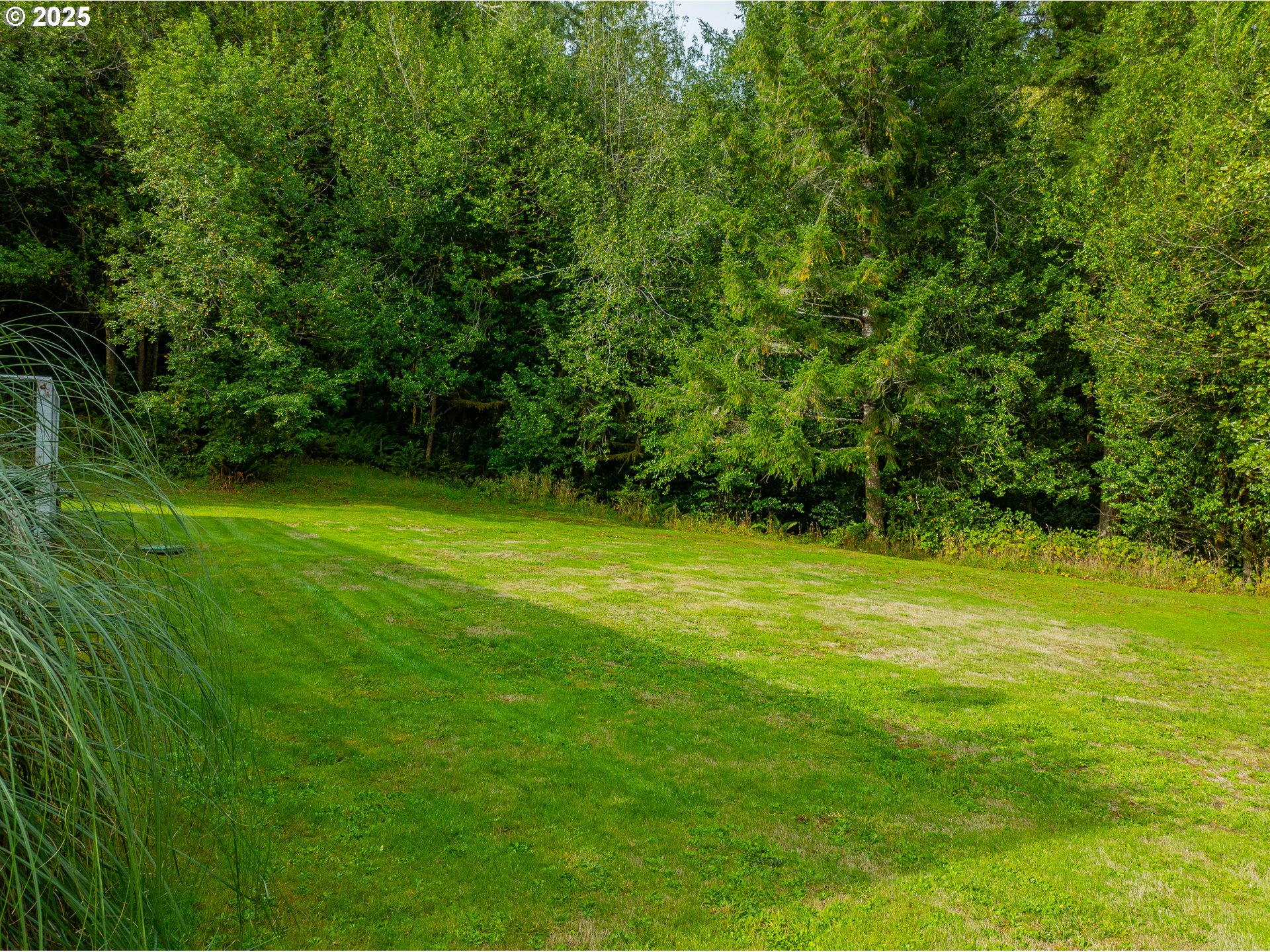 98785 Sitkum Lane Myrtle Point, OR 97458 - Photo 28 of 45 a view of a green yard