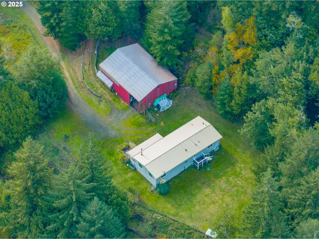 a backyard of a house with lawn chairs plants and large tree