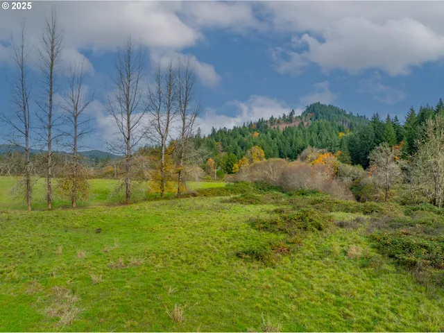 a view of a swimming pool with a yard