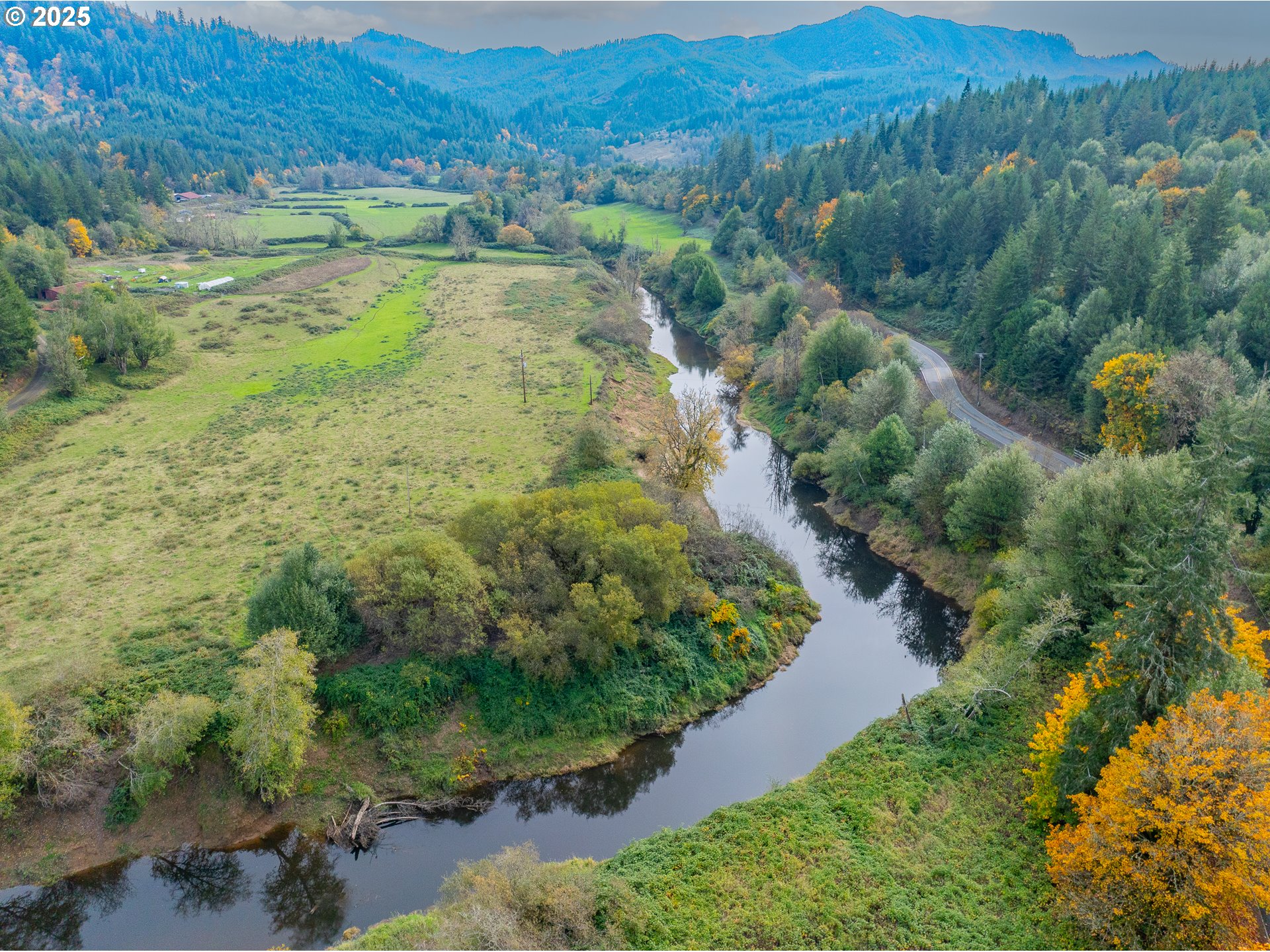 98785 Sitkum Lane Myrtle Point, OR 97458 - Photo 40 of 45 a view of a lush green forest with lots of trees