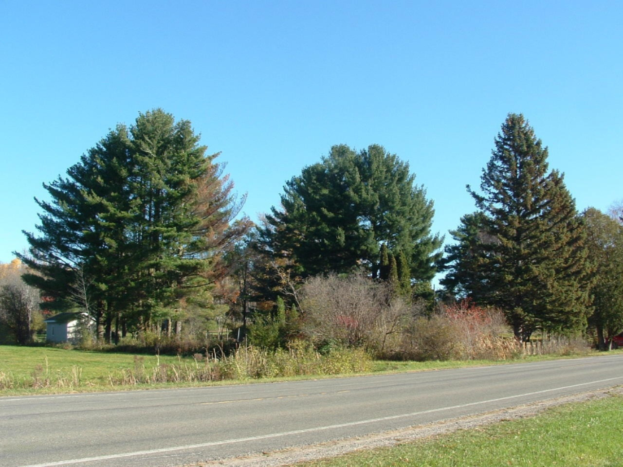 5802 8 Mile Road Onekama, MI 49675 - Photo 4 of 9 DSCF0061
