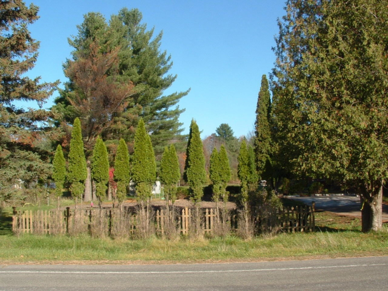 5802 8 Mile Road Onekama, MI 49675 - Photo 5 of 9 Side of Property