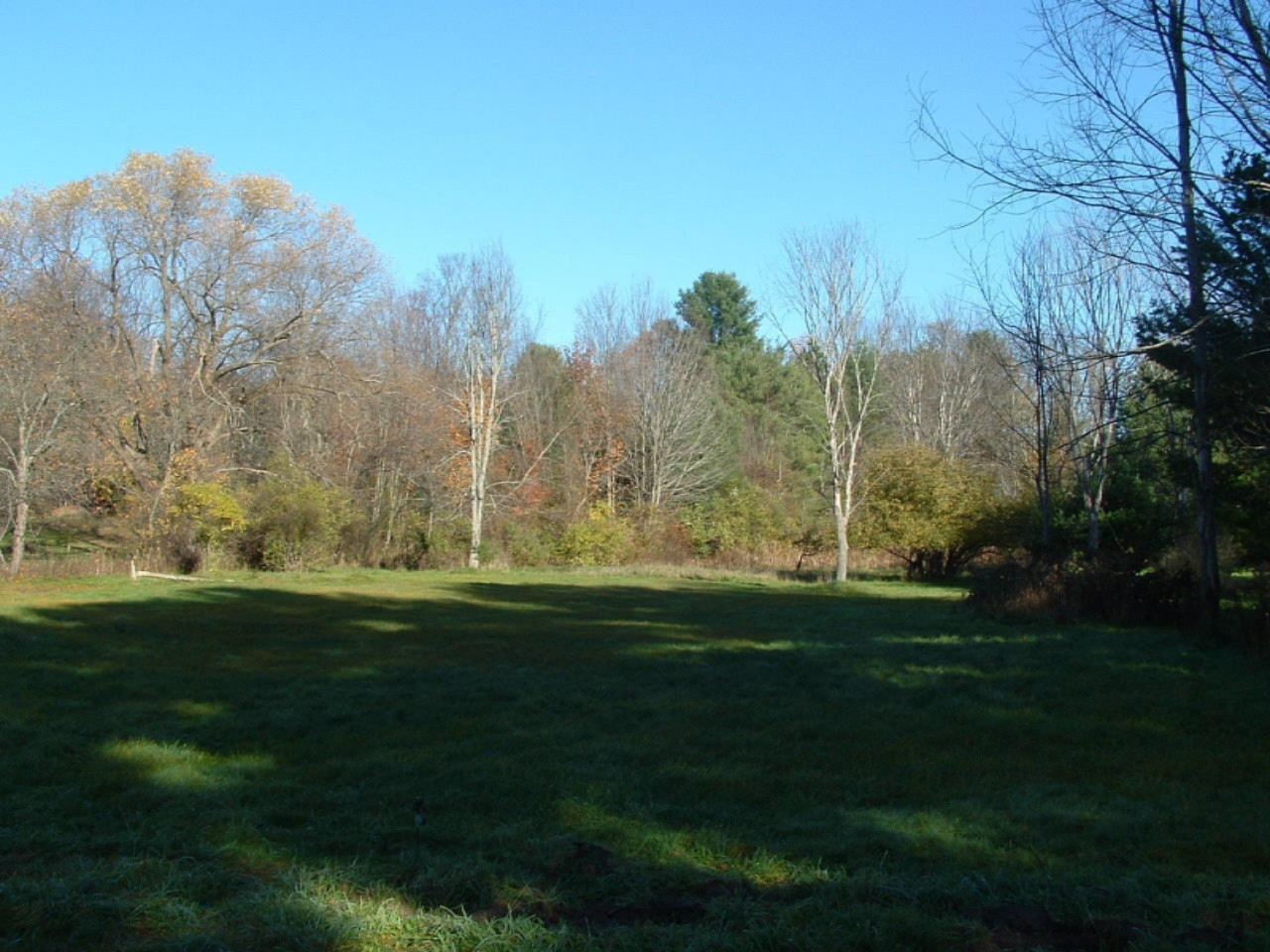 5802 8 Mile Road Onekama, MI 49675 - Photo 6 of 9 Back of propety