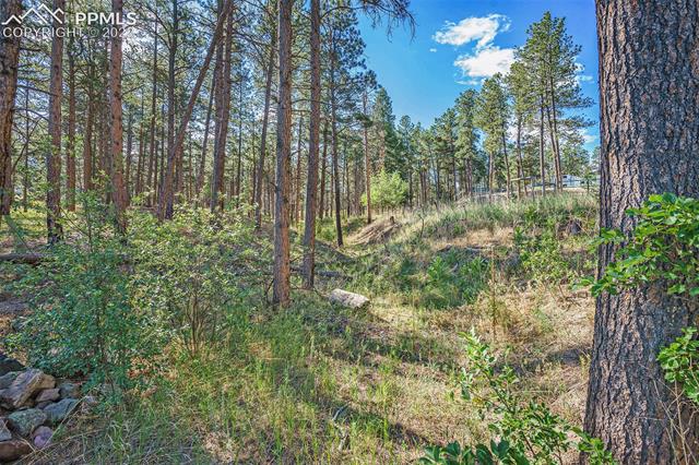 6310 Shoup Road Colorado Springs, CO 80908 - Photo 4 of 21