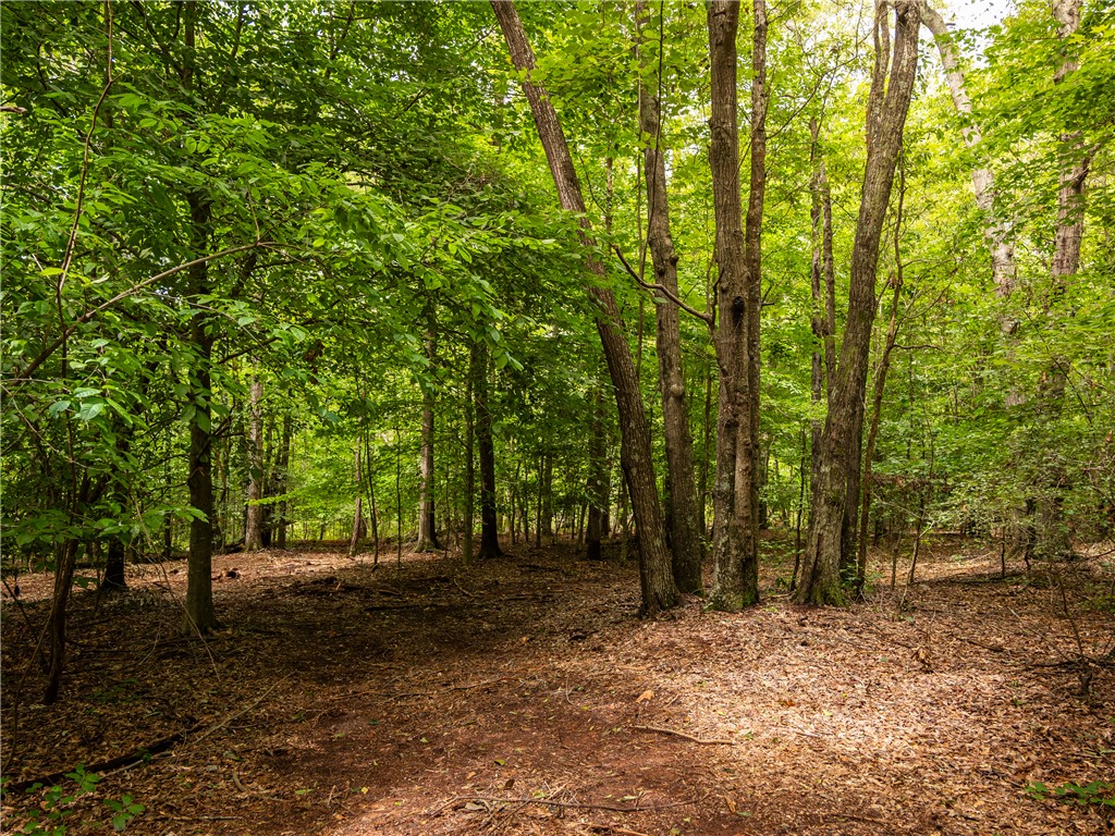 2 Pinetree Road Townville, SC 29689 - Photo 14 of 18
