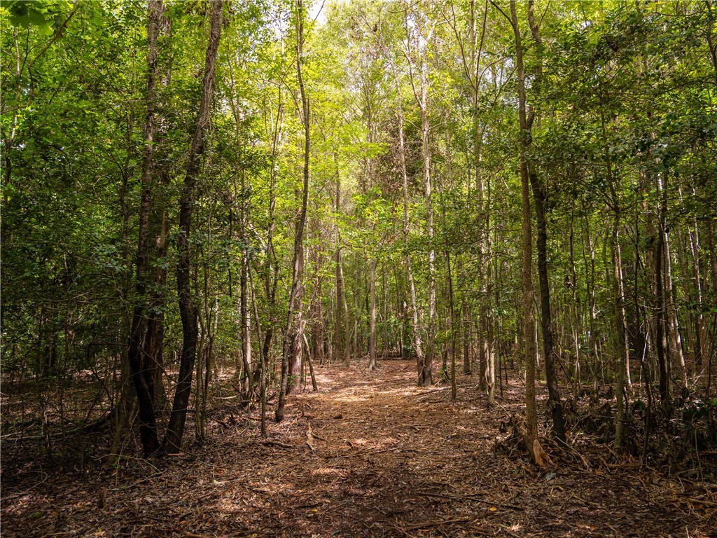 2 Pinetree Road Townville, SC 29689 - Photo 15 of 18