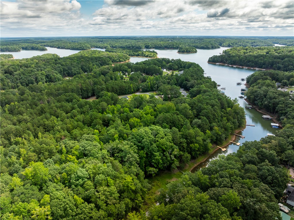 2 Pinetree Road Townville, SC 29689 - Photo 18 of 18