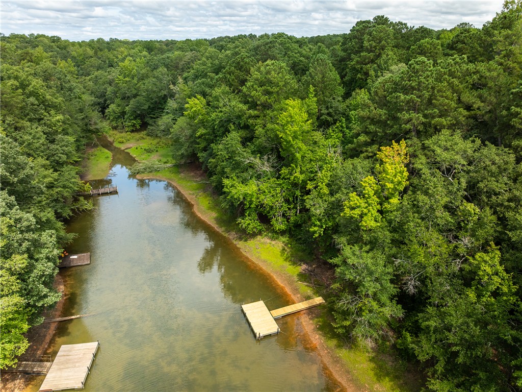 2 Pinetree Road Townville, SC 29689 - Photo 4 of 18