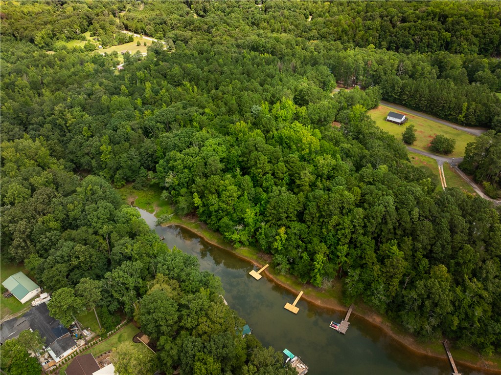 2 Pinetree Road Townville, SC 29689 - Photo 5 of 18