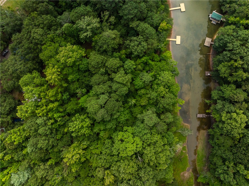 2 Pinetree Road Townville, SC 29689 - Photo 6 of 18