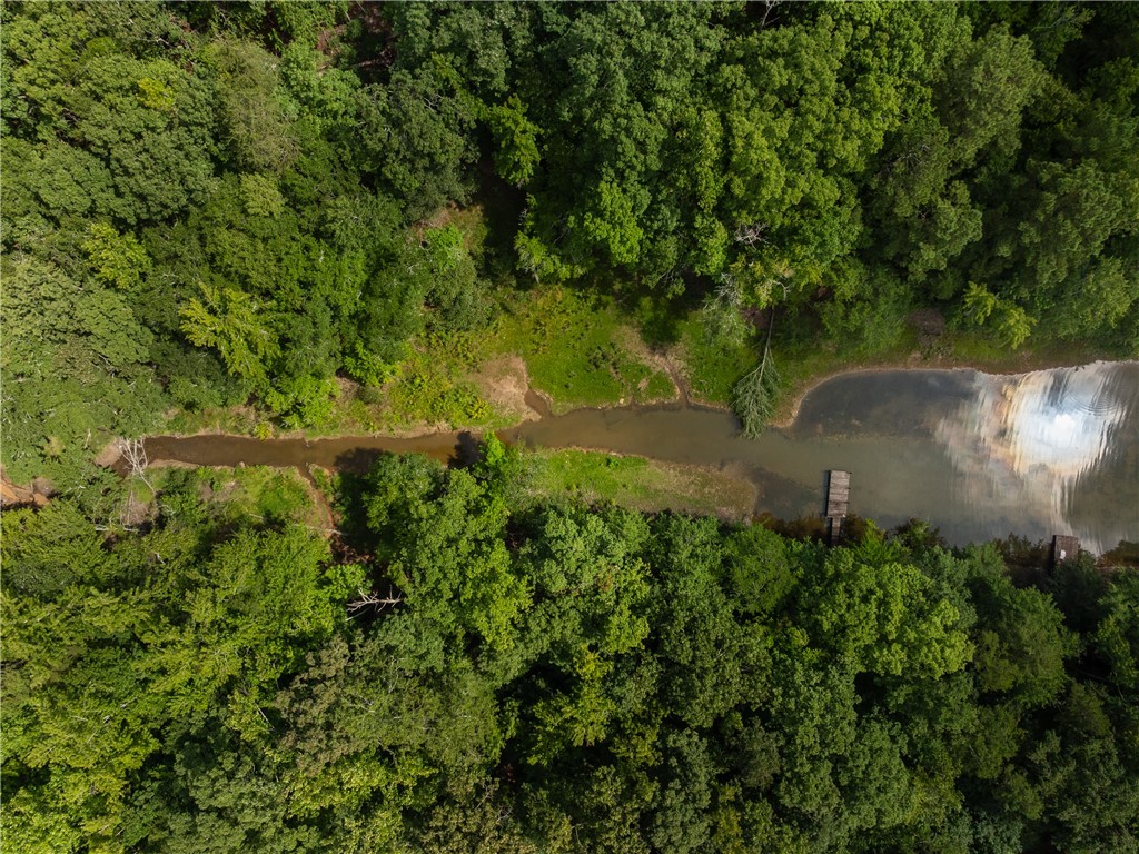2 Pinetree Road Townville, SC 29689 - Photo 7 of 18