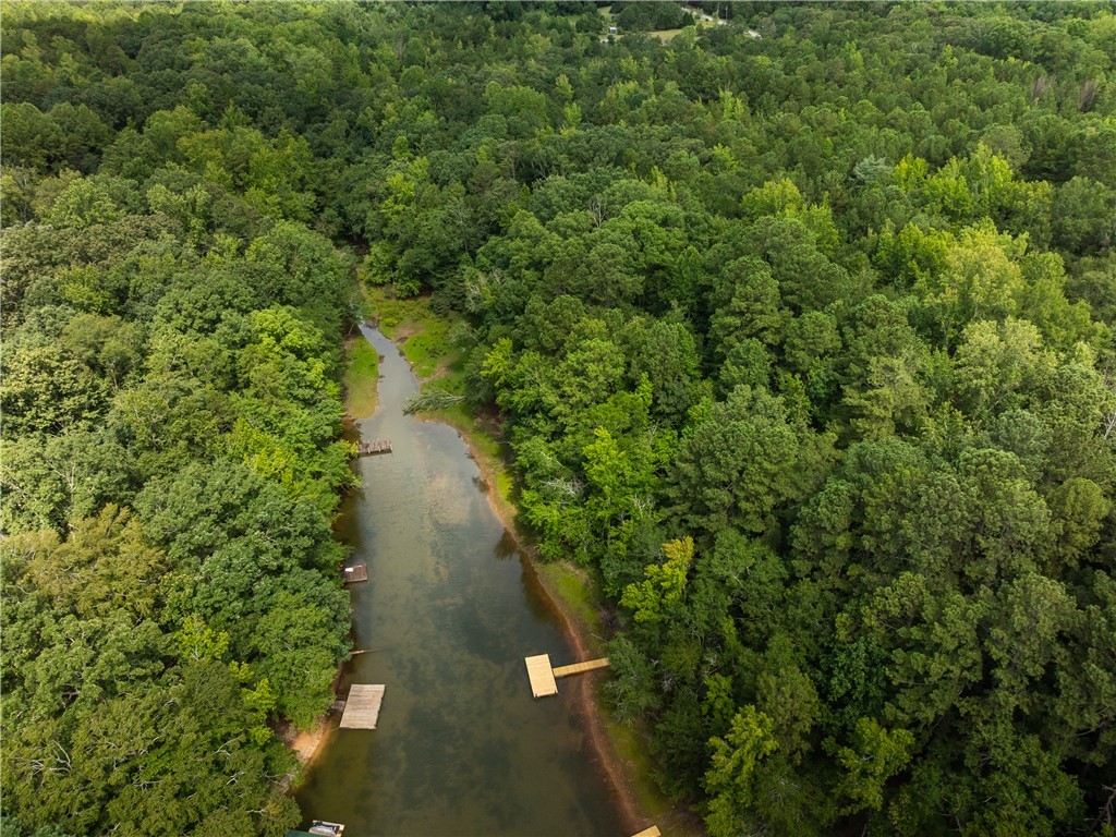 2 Pinetree Road Townville, SC 29689 - Photo 8 of 18
