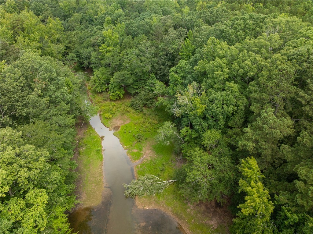 2 Pinetree Road Townville, SC 29689 - Photo 9 of 18