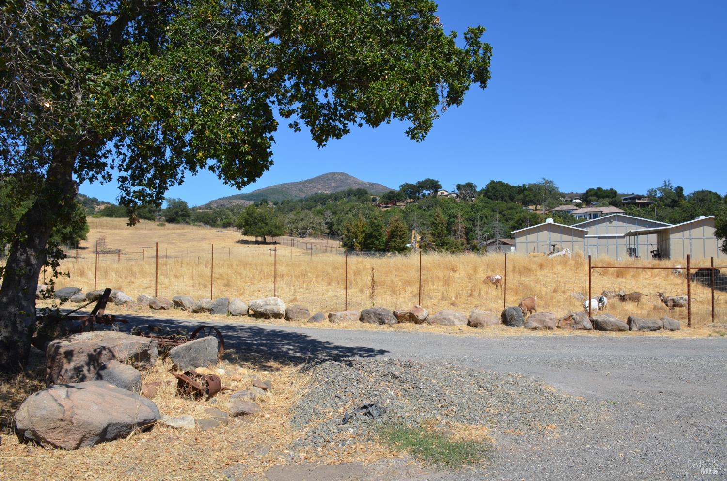 2186 Monticello Road Napa, CA 94558 - Photo 13 of 44