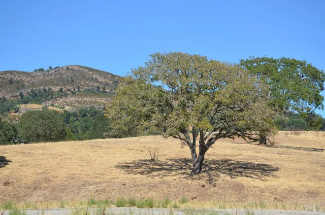 $3,490,000 | 2186 Monticello Road, Napa, CA 94558