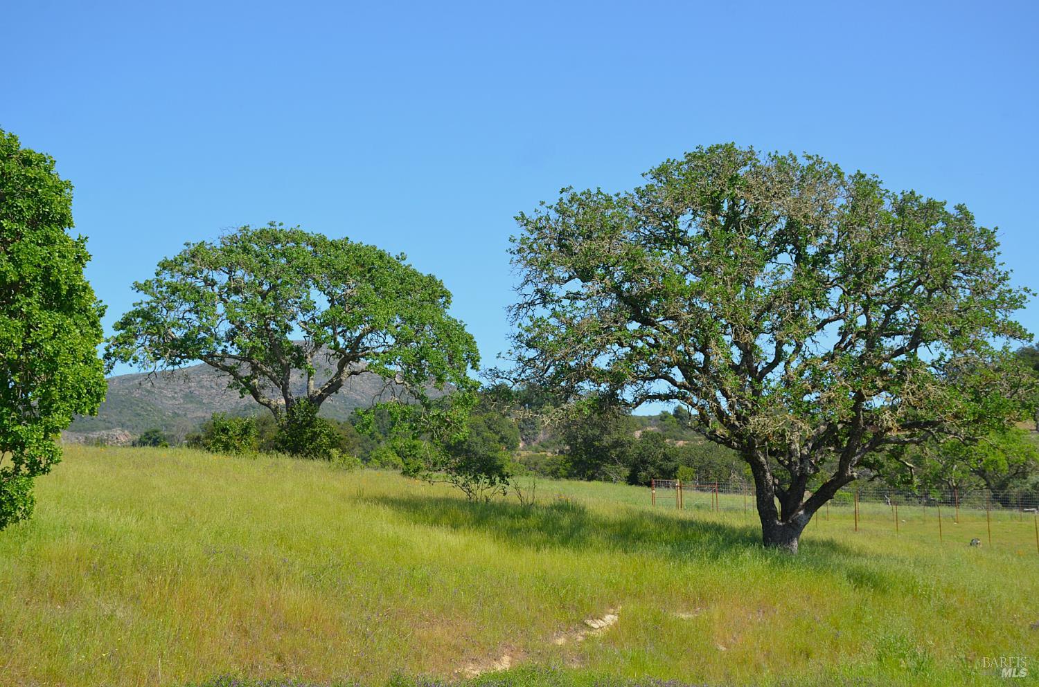 2186 Monticello Road Napa, CA 94558 - Photo 2 of 44