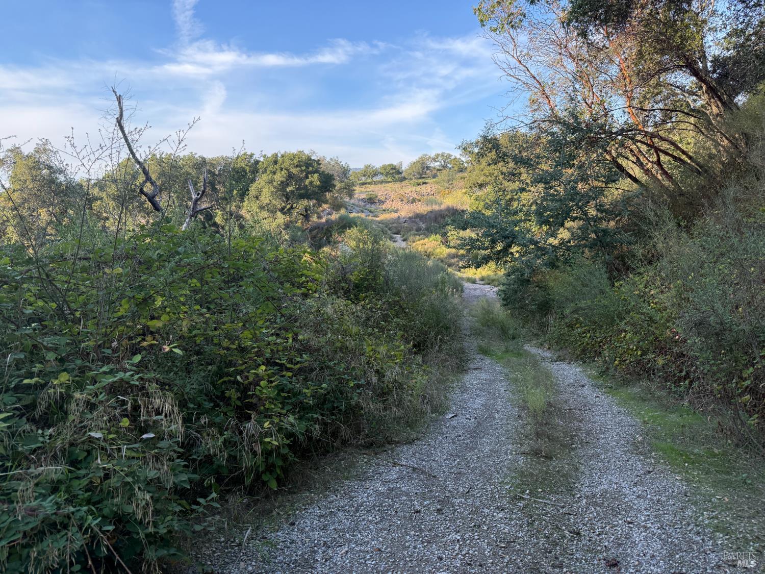 2186 Monticello Road Napa, CA 94558 - Photo 27 of 48
