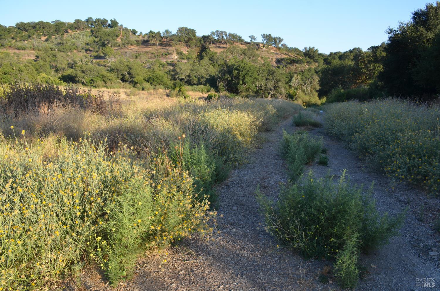 2186 Monticello Road Napa, CA 94558 - Photo 31 of 48