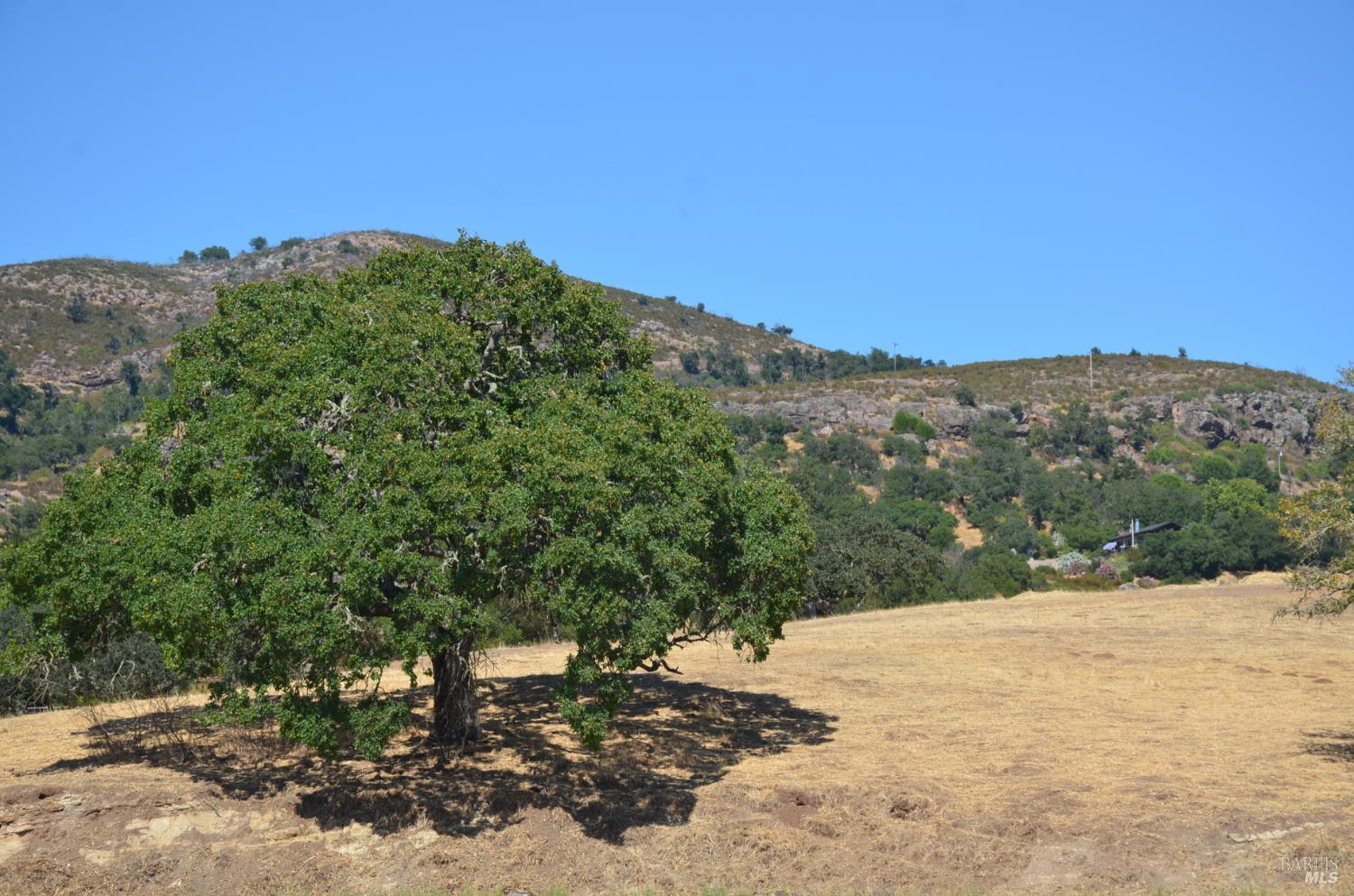 2186 Monticello Road Napa, CA 94558 - Photo 35 of 48