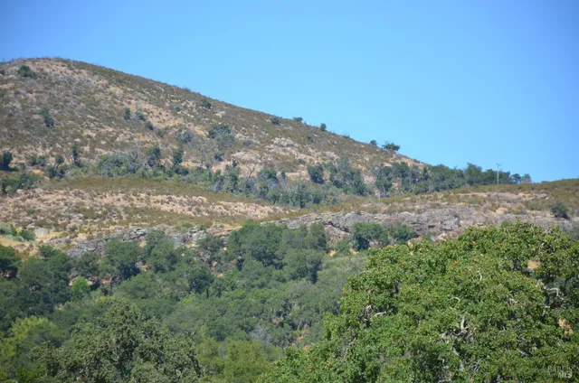 $3,490,000 | 2186 Monticello Road, Napa, CA 94558