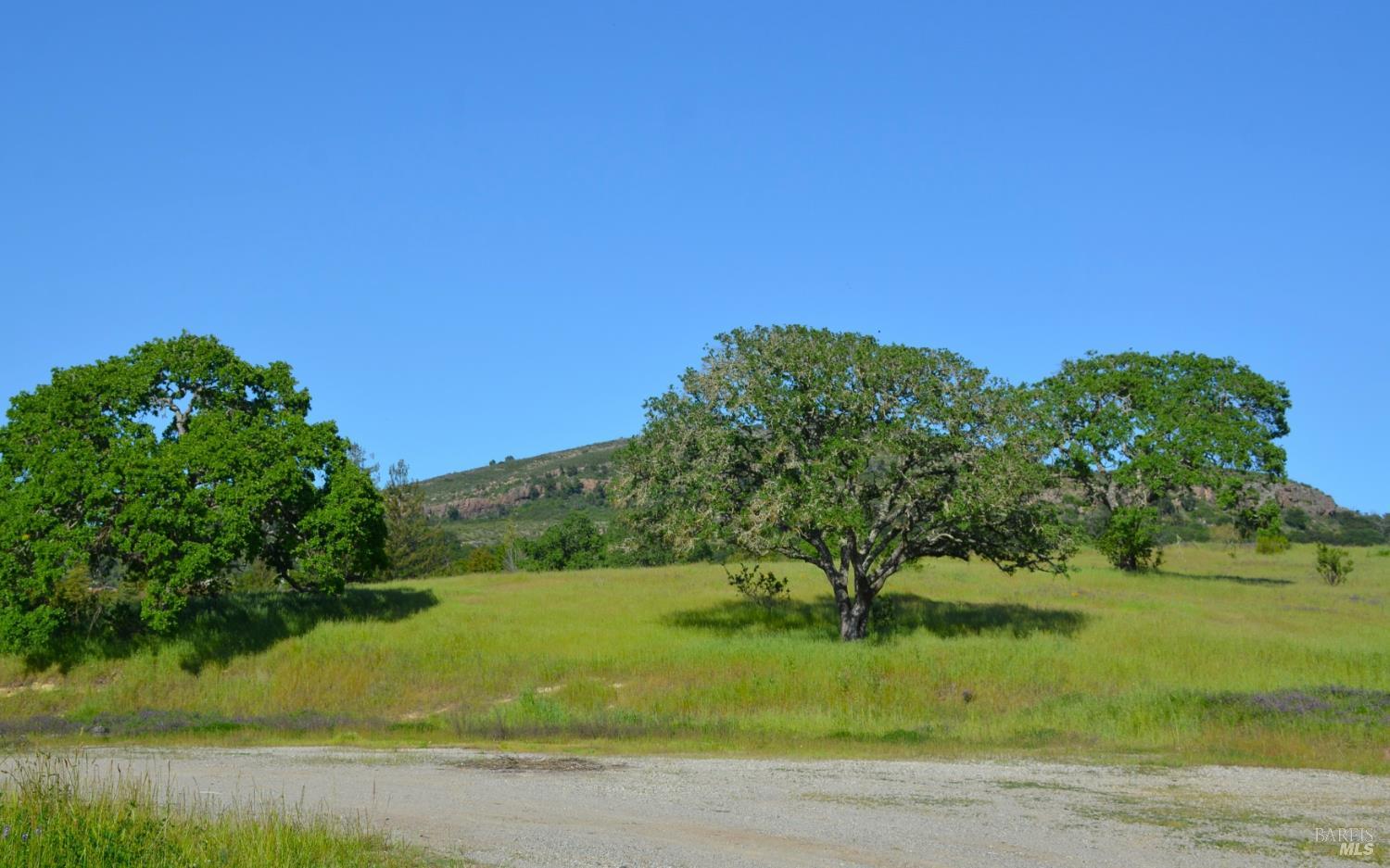 2186 Monticello Road Napa, CA 94558 - Photo 4 of 44