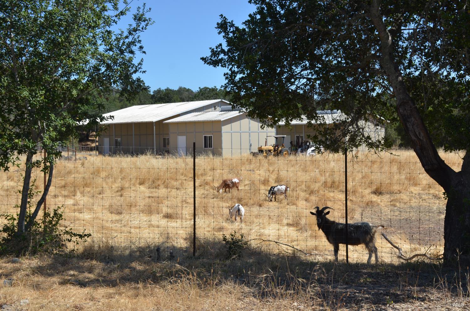 2186 Monticello Road Napa, CA 94558 - Photo 45 of 48 View to the neighbor