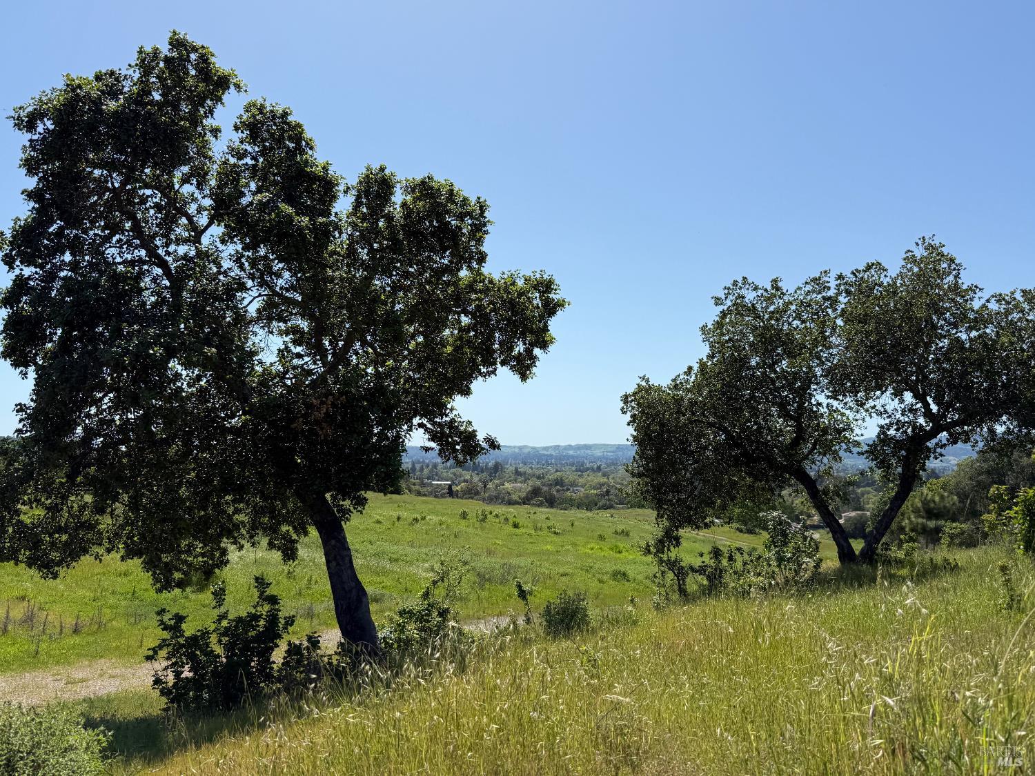 2186 Monticello Road Napa, CA 94558 - Photo 6 of 44