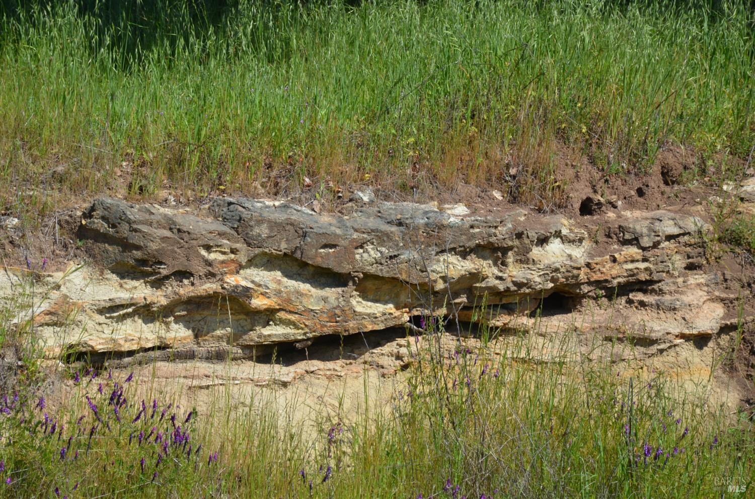 2186 Monticello Road Napa, CA 94558 - Photo 7 of 44