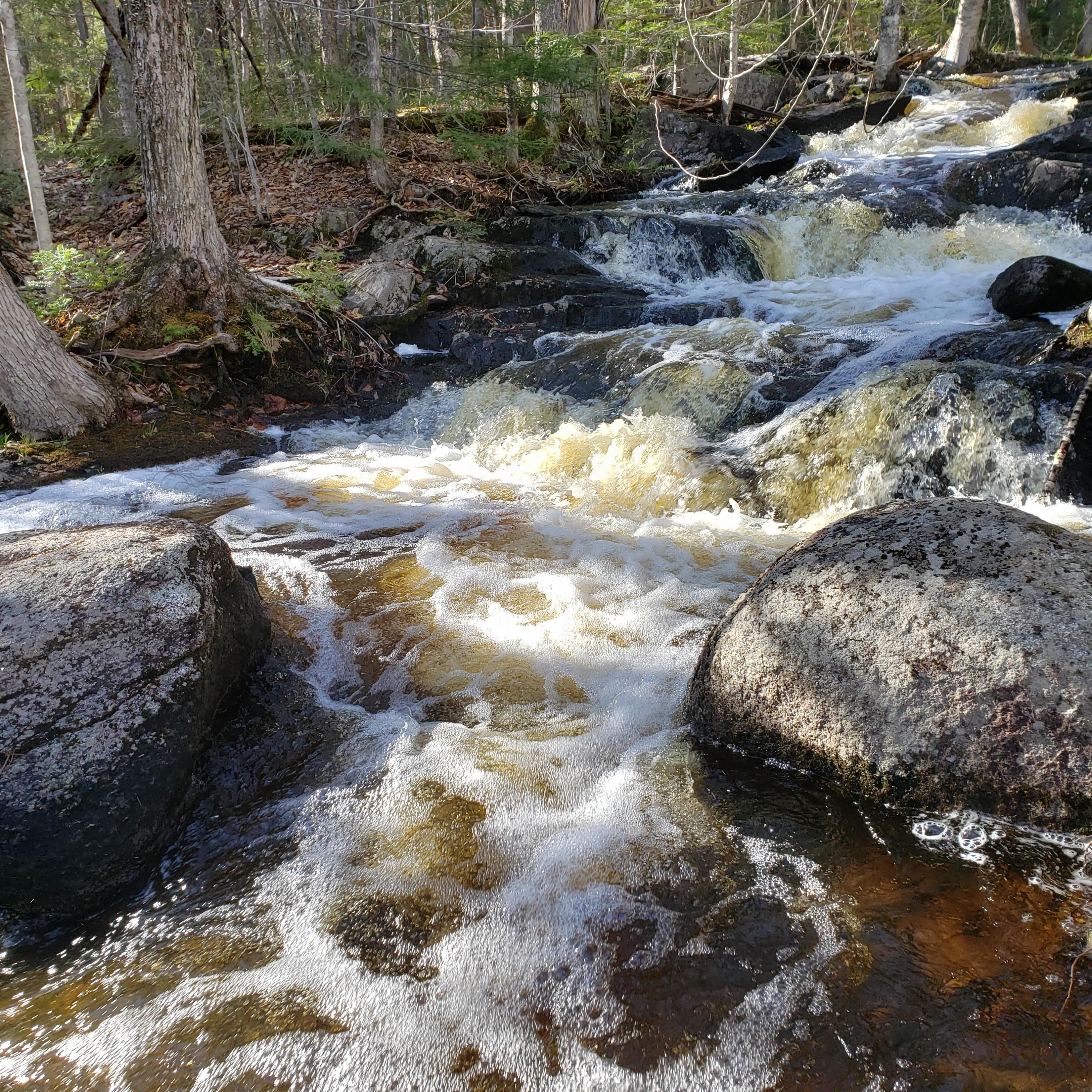 0 South Road Lincoln, ME 04457 - Photo 25 of 75 20210501_165359