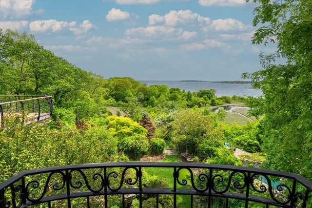 a view of a yard with flower plants