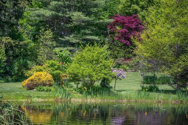 a backyard of a house with lots of green space and fountain