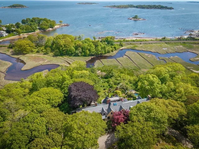 a view of a garden with an outdoor space