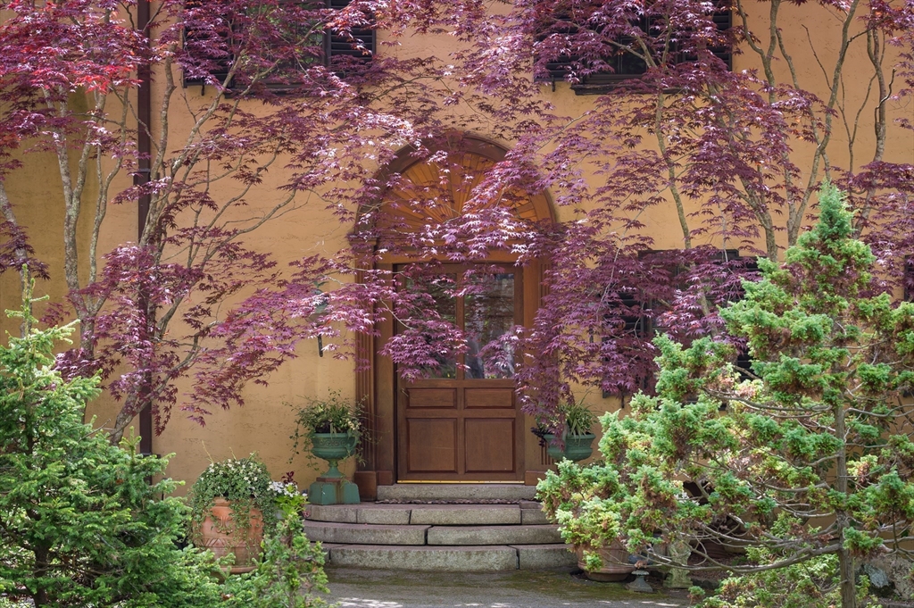 965-973 Hale Street Beverly, MA 01915 - Photo 5 of 42 a front view of a house with lots of plants and trees