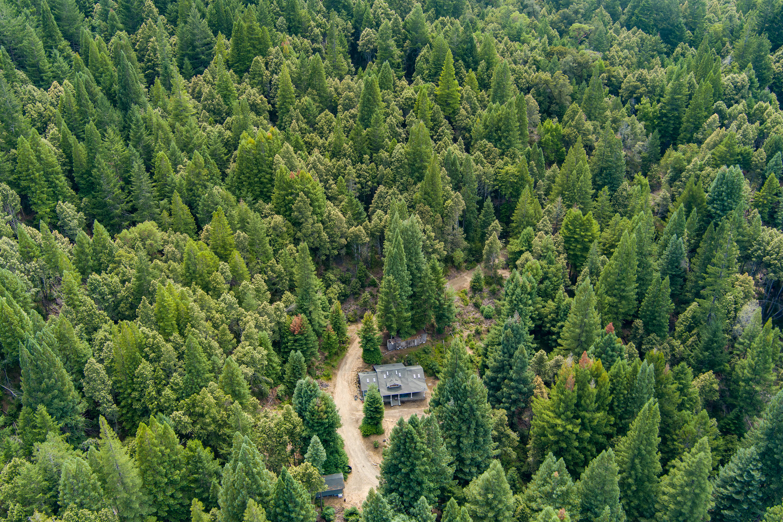 1005 Twin Trees Road Garberville, CA 95542 - Photo 78 of 84