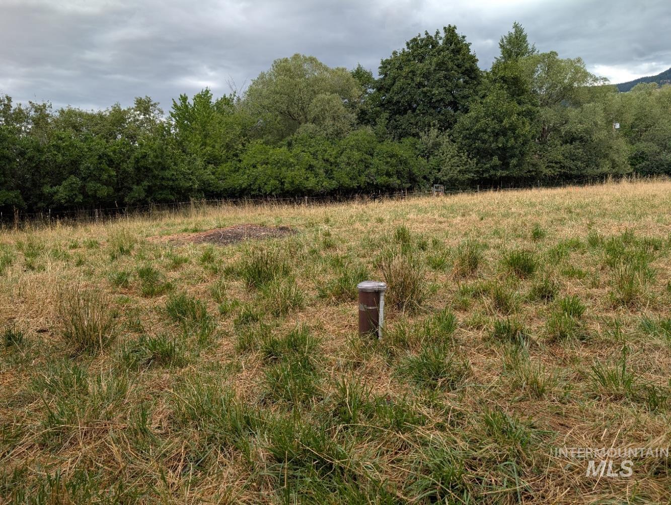 69431 Antles Road, Unit 1 Cove, OR 97824 - Photo 20 of 23 View of woods