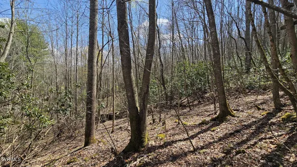 $175,000 | 4183 Stone Mountain Road, Coeburn, VA 24230