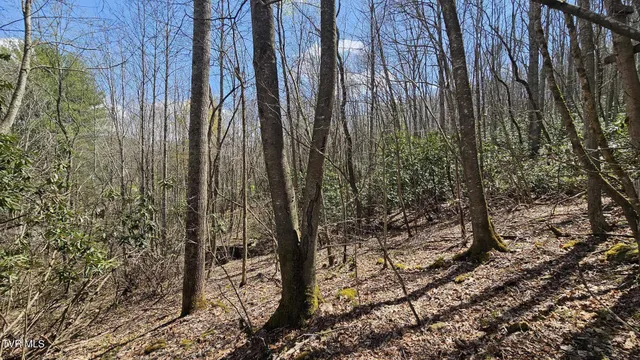 $185,000 | 4183 Stone Mountain Road, Coeburn, VA 24230