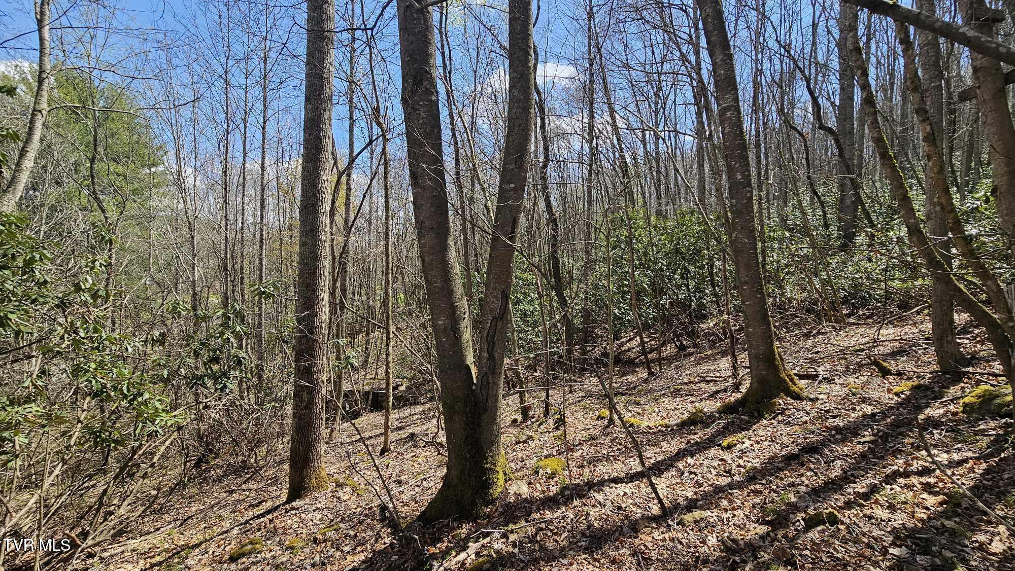 4183 Stone Mountain Road Coeburn, VA 24230 - Photo 11 of 20 11
