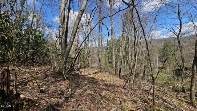 $185,000 | 4183 Stone Mountain Road, Coeburn, VA 24230