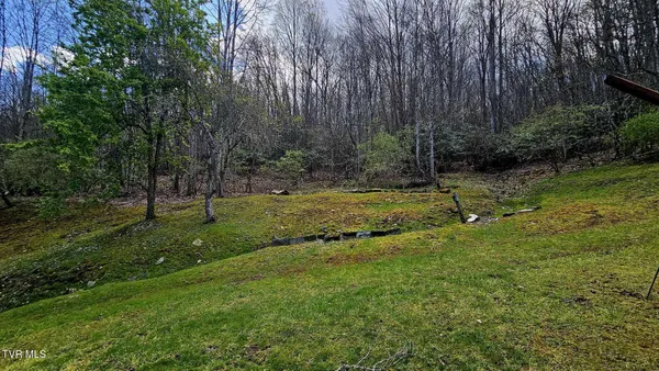 $175,000 | 4183 Stone Mountain Road, Coeburn, VA 24230