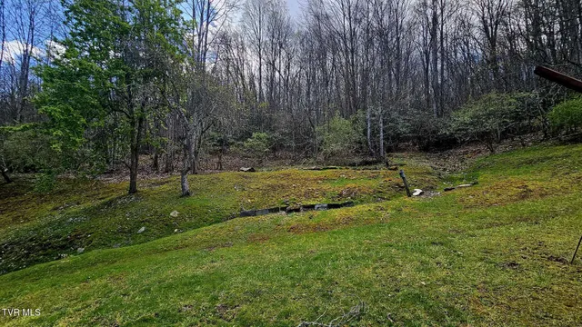 $185,000 | 4183 Stone Mountain Road, Coeburn, VA 24230