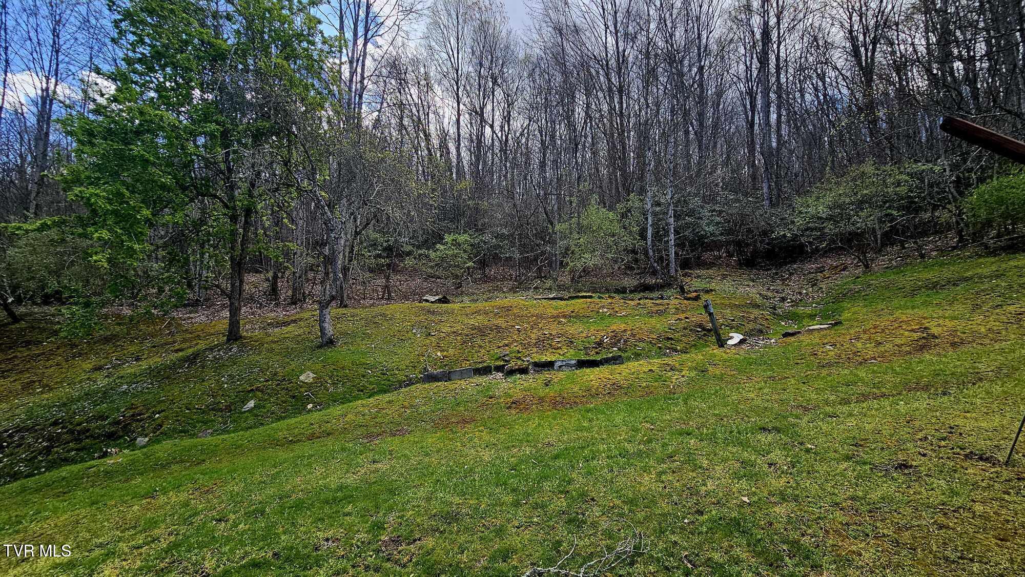 4183 Stone Mountain Road Coeburn, VA 24230 - Photo 5 of 20 5